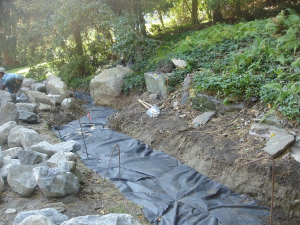 Preparing a space for a diy dry creek bed with ground cover
